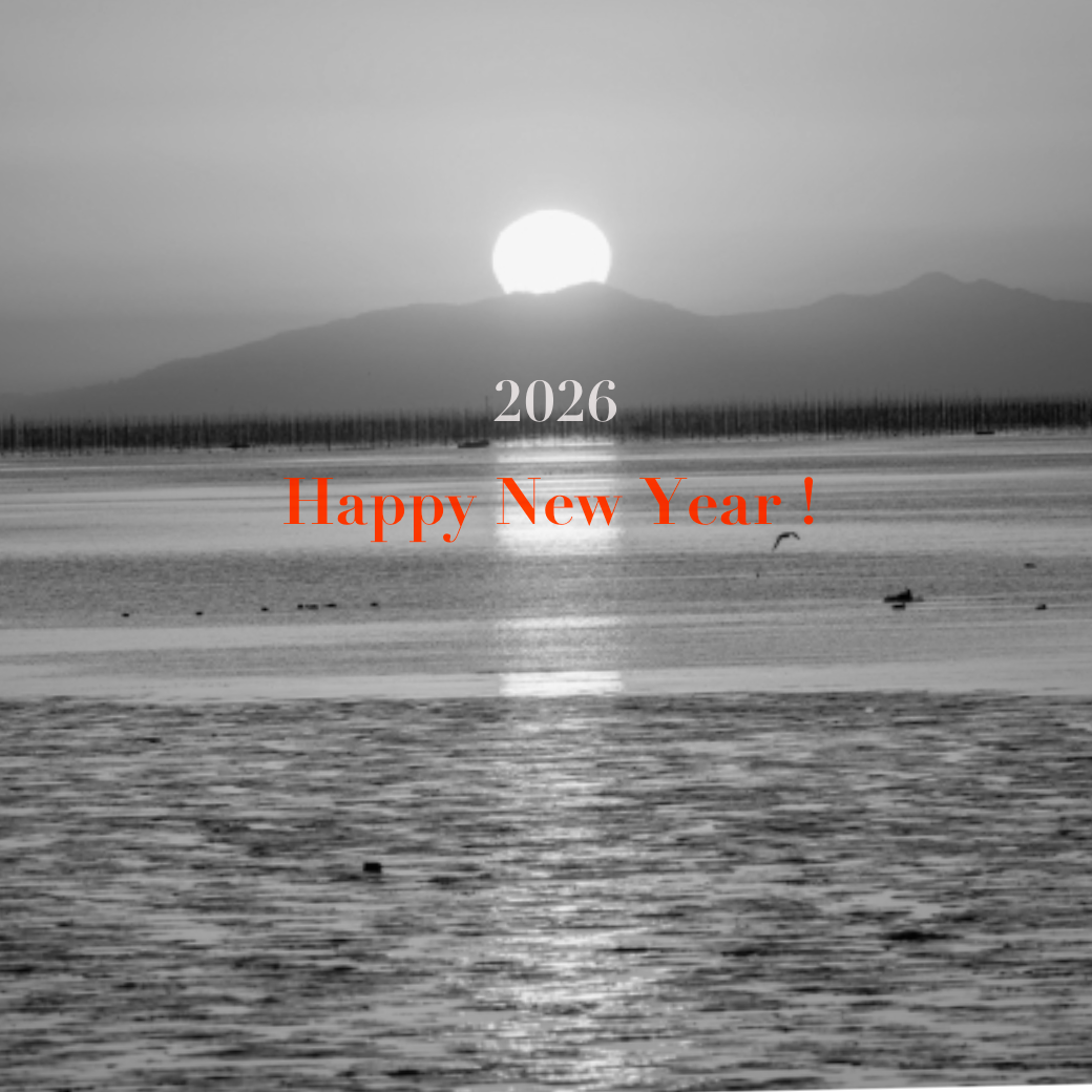 2026 A HAPPY NEW YEAR🏇